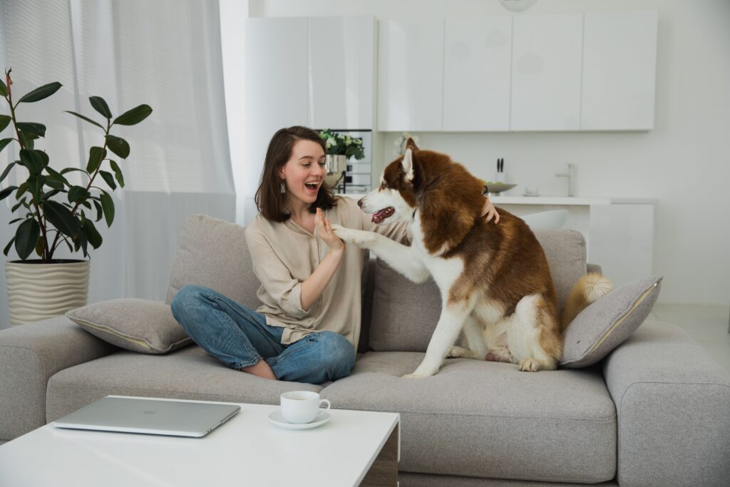 Couch cleaning